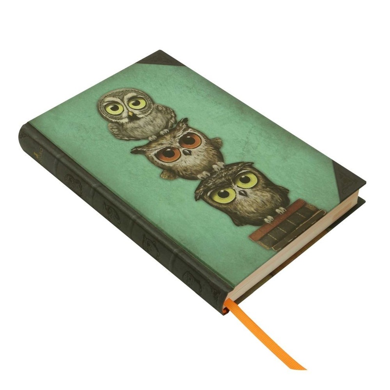 Agenda cu coperti tari Grumpy Owl - poza 2