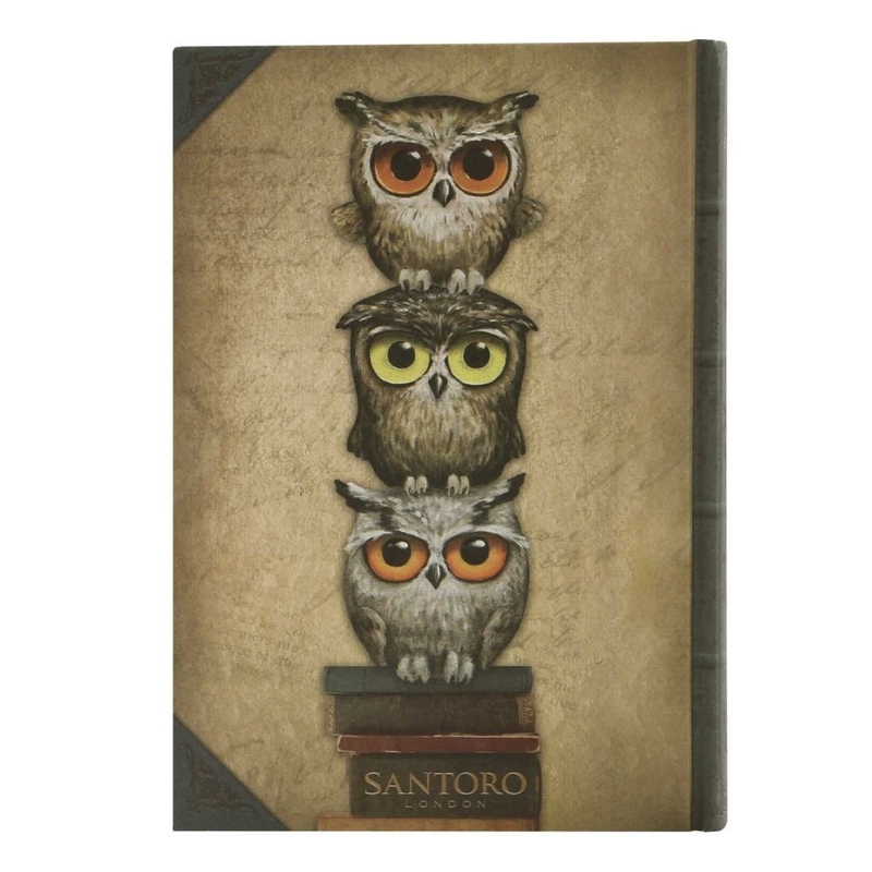 Agenda cu coperti tari Grumpy Owl - poza 3