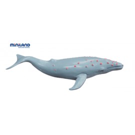 Animale marine set de 8 figurine - Miniland - poza 4