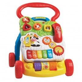 Antepremergator interactiv 2in1 Primii Pasi, in limba romana, Vtech 77012 - poza 4