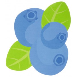 Aplicatie senzoriala – Coacaze - Sensory Collection - poza 1