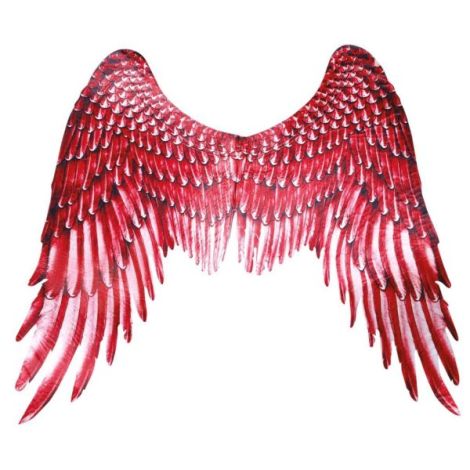 Aripi inger panza rosii - poza 2