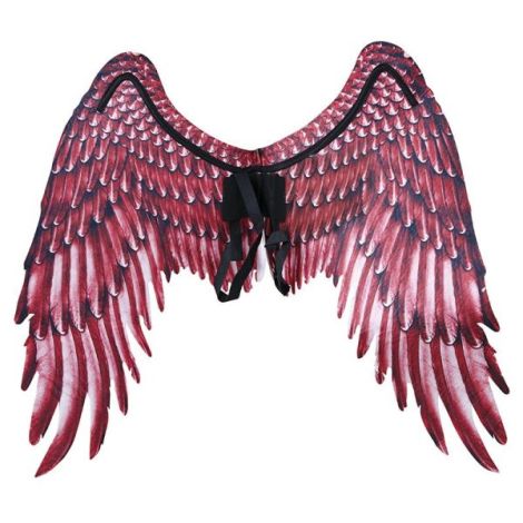 Aripi inger panza rosii - poza 3