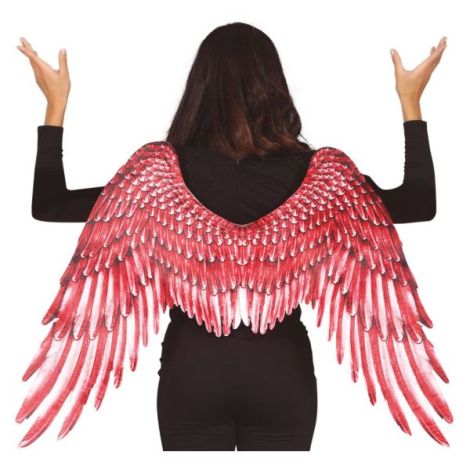 Aripi inger panza rosii - poza 4