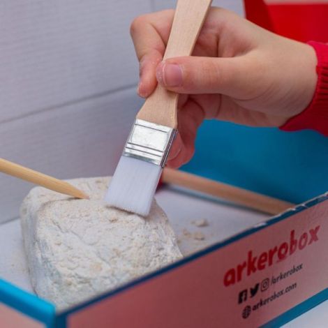 Arkerobox - Set arheologic educational si puzzle 3D, Efes - Biblioteca Celsus - poza 3
