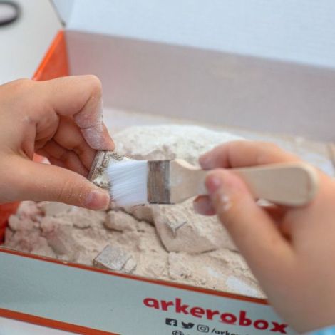 Arkerobox - Set arheologic educational si puzzle 3D, Efes - Biblioteca Celsus - poza 4
