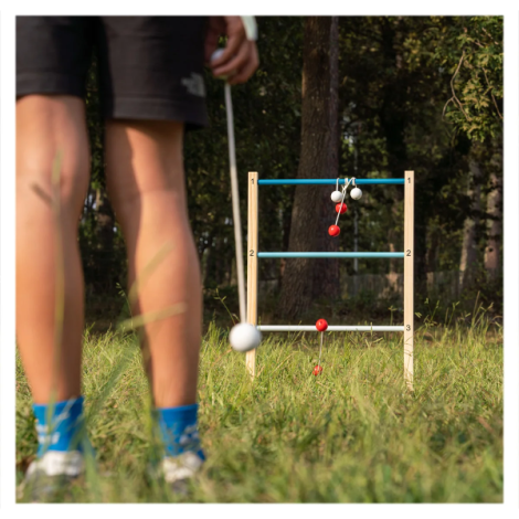 Aruncare la tinta & Ladder Game, joc 2 in 1 - poza 5