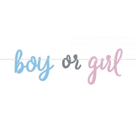 Banner gender reveal 213 cm - poza 1