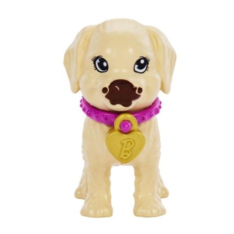 Barbie Set Papusa Barbie Pup Adoption - poza 5