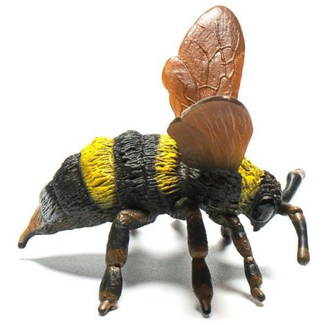 Bondar - Collecta - poza 1