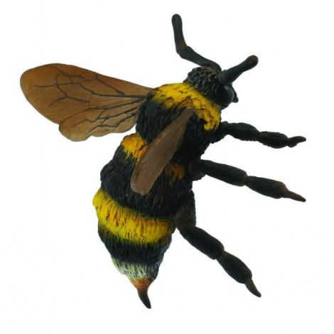 Bondar - Collecta - poza 2