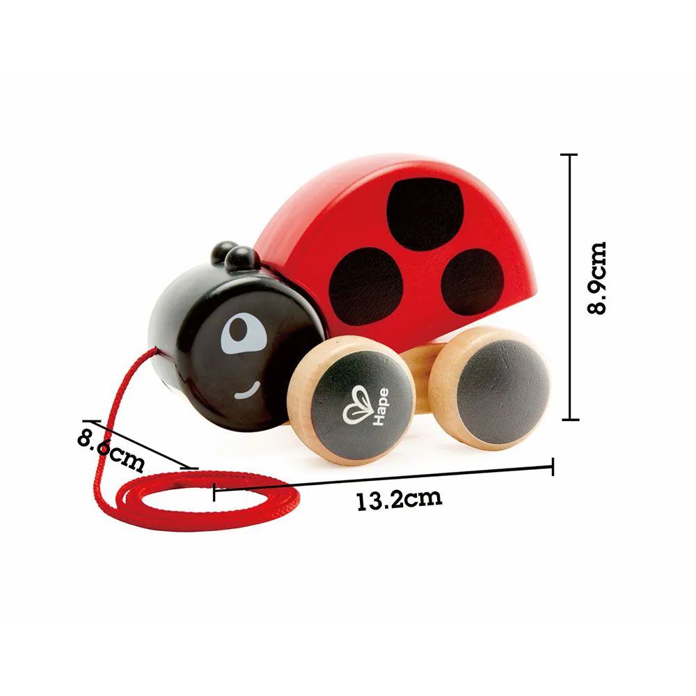 Buburuza din lemn de tras Hape Ladybug - poza 2