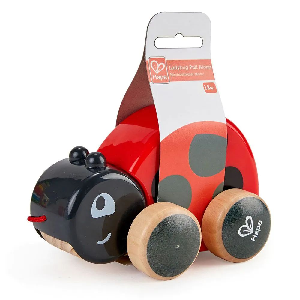 Buburuza din lemn de tras Hape Ladybug - poza 5