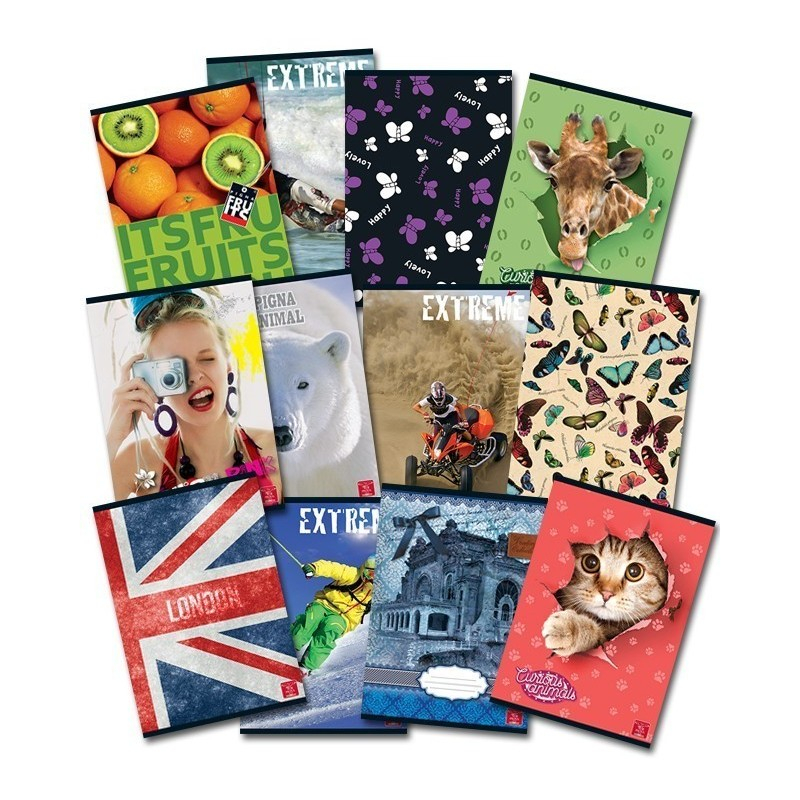 Caiet dictando A5, 48 file , Pigna Clasic, coperta carton,diverse modele