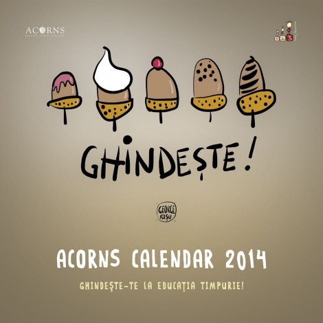 Calendar Acorns 2014 - poza 1
