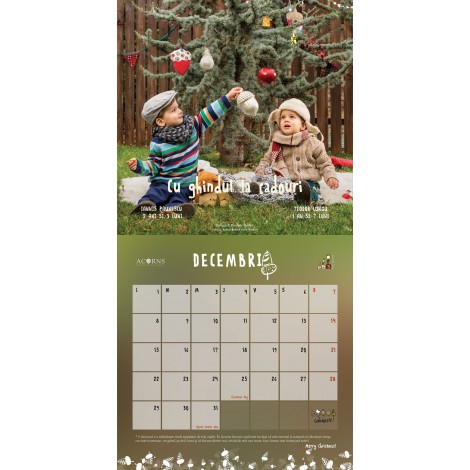 Calendar Acorns 2014 - poza 5