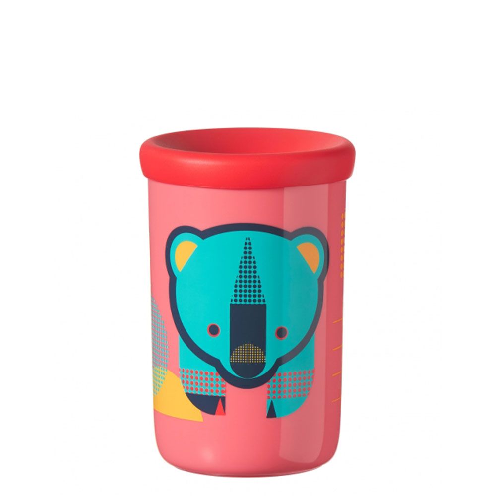 Cana de tranzitie Tommee Tippee Easy Flow 250 ml 12 luni + - poza 1