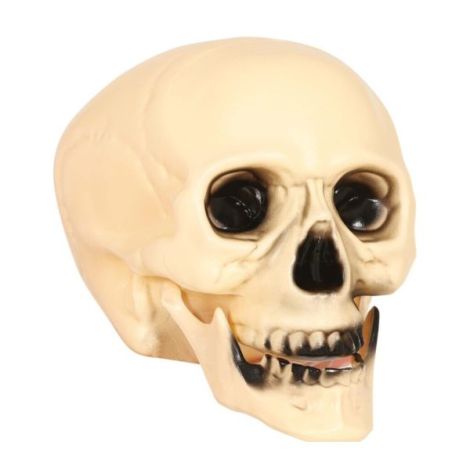 Cap schelet 20 cm - poza 1