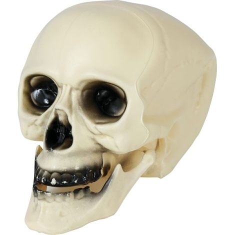 Cap schelet 20 cm - poza 3