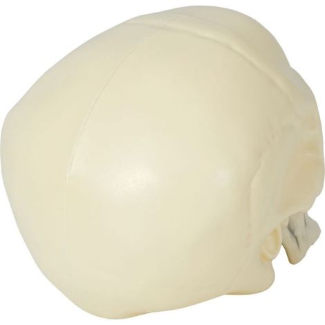 Cap schelet 20 cm - poza 5