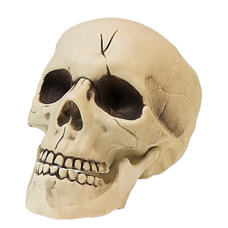 Cap schelet 21 cm - poza 1