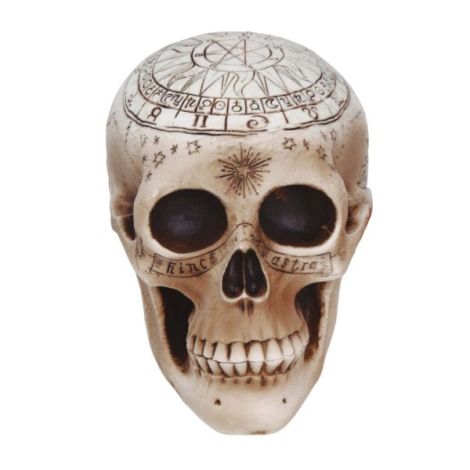 Cap schelet spiritism 20 cm - poza 1