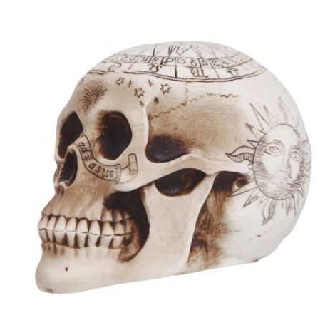 Cap schelet spiritism 20 cm - poza 2