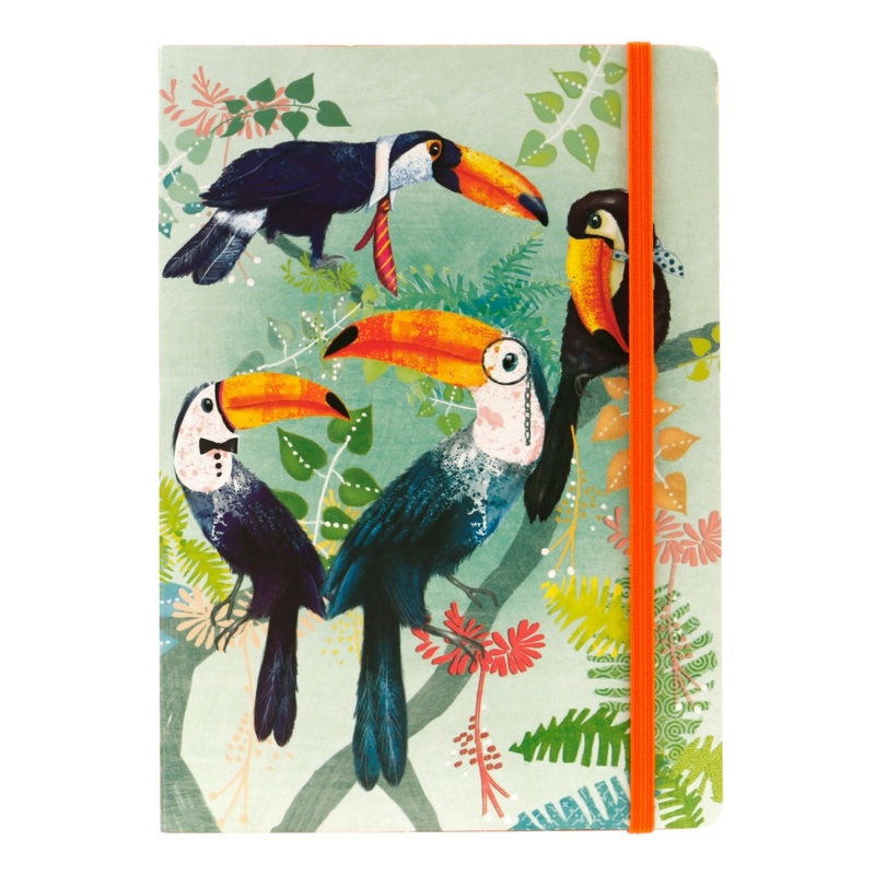 Carnet A5 Santoro Toucan - poza 1