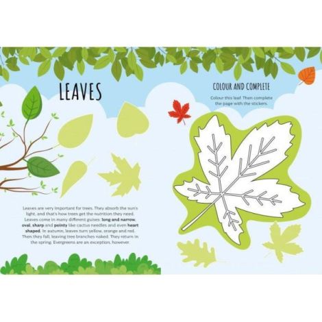 Carte de activitati cu abtibilduri - in natura - poza 4