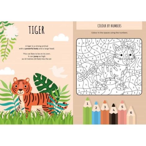 Carte de activitati cu abtibilduri - jungla - poza 3