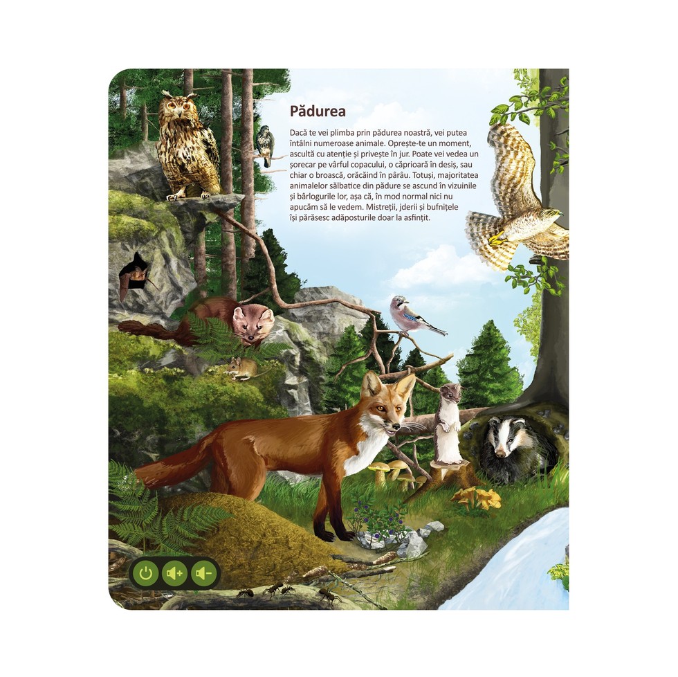 Carte Raspundel Istetel lumea animalelor - poza 3