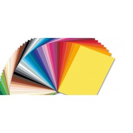 Carton colorat Roz 10 - poza 3
