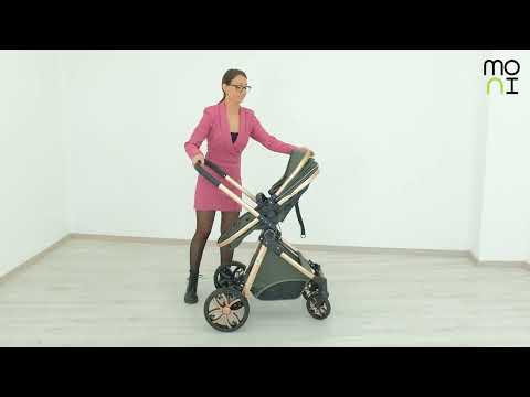 Carucior combinat Moni Alma 2020 Dark Grey - poza 2