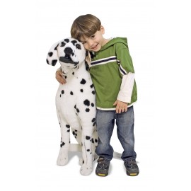 Catel Dalmatian din plus - poza 1