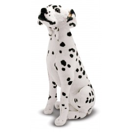 Catel Dalmatian din plus - poza 2