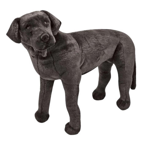 Catel Labrador Negru gigant din plus - poza 1