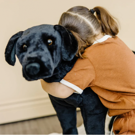 Catel Labrador Negru gigant din plus - poza 3
