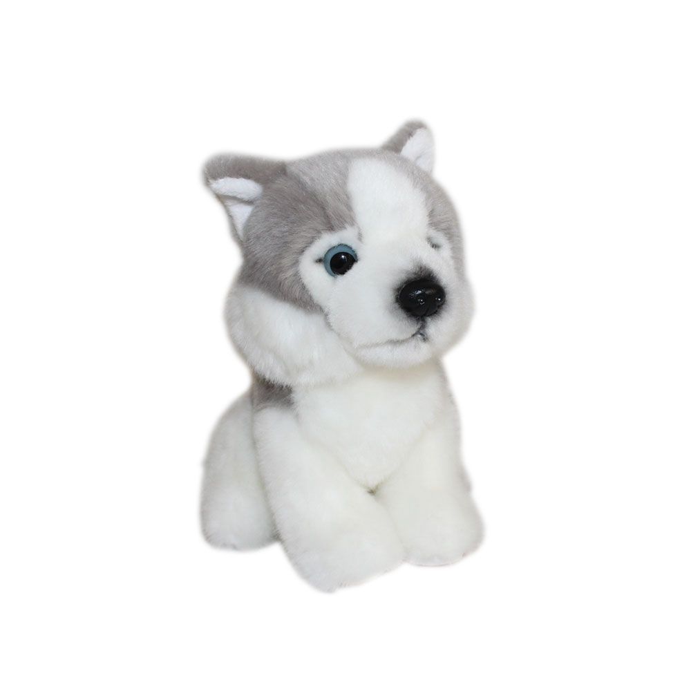 Catelus de plus Silky Husky sau Labrador - poza 1