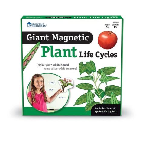 Ciclul vietii plantei - set magnetic - poza 4