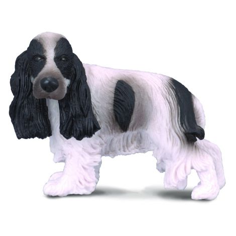 Cocker Spaniel Englezesc - Collecta
