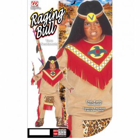 Costum indian - poza 2