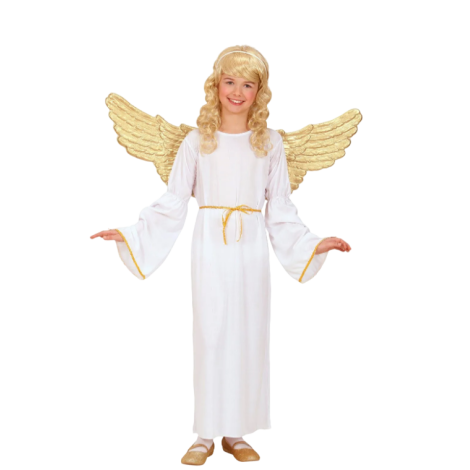 Costum inger copii - poza 1
