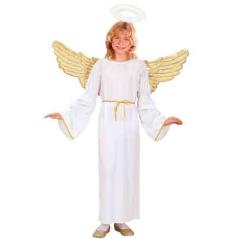 Costum inger copii - poza 4