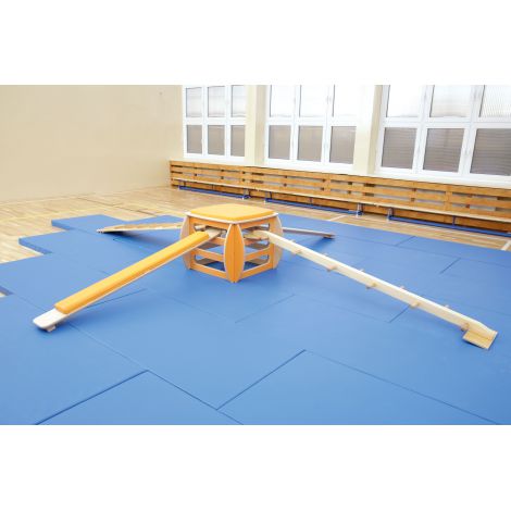 Cub mic pentru gimnastica - poza 4