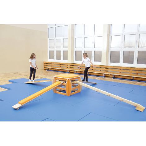 Cub mic pentru gimnastica - poza 5
