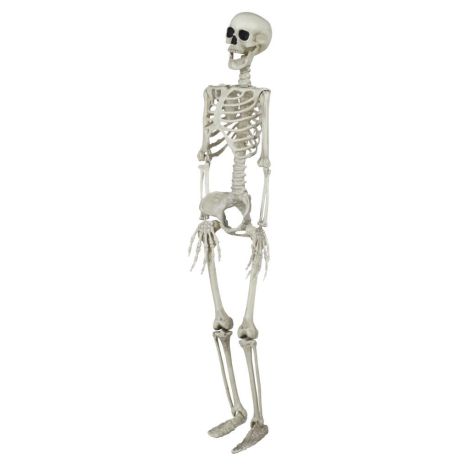 Decor schelet 90 cm - poza 3