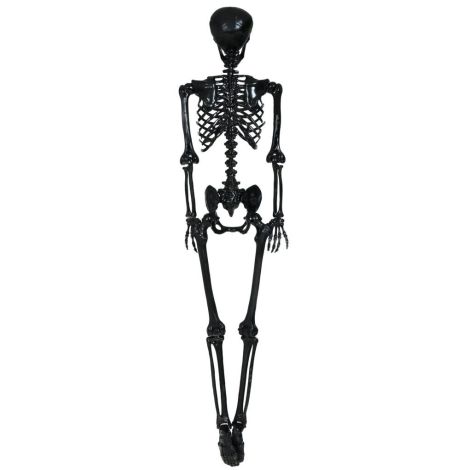 Decor schelet negru 90 cm - poza 5