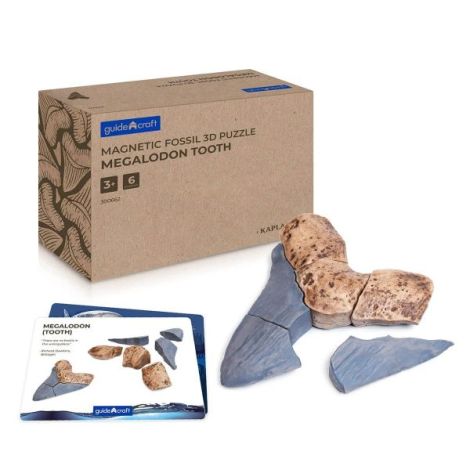 Dinte Megalodon, set magnetic 3D, Guidecraft - poza 1