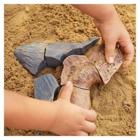 Dinte Megalodon, set magnetic 3D, Guidecraft - poza 3