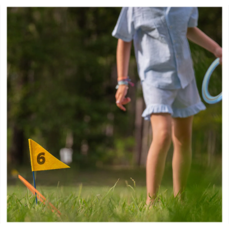 Disc Golf, joc de aruncare cu discuri - poza 2